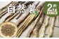 自然薯 2kg 以上 むかご付き 山芋 とろろ