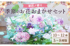 草花ノ香り 季節のお花おまかせセット 5～8種 約10～12本 