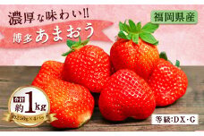 福岡県産 博多 あまおう いちご 250g×4 計 1kg フルーツ