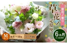 【定期便 6ヶ月】草花ノ定期便 Mサイズ 5～8種類 約8～10本