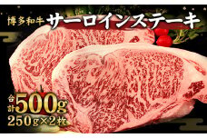 博多和牛 サーロインス テーキ 250g×2枚 計 500g 和牛 国産