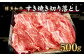 博多和牛すき焼き切り落とし500g