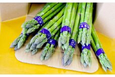 春季限定 春芽 アスパラガス  直方産 アスパラ 2L・L 約1kg
