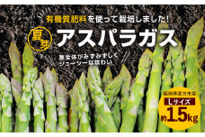 夏芽 アスパラガス 直方産 アスパラ  Lサイズ 約1.5kg