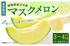 夏季限定 マスクメロン 2個入 1.5kg～2kg(1玉) メロン 果物