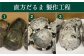 直方だるま 製作工程①