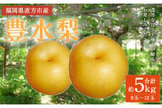【2023年8月下旬より順次発送】豊水 梨 約5kg (8～12玉)