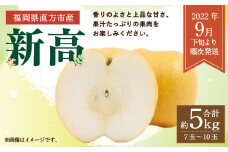 【2022年9月下旬より順次発送】新高 梨 約5kg (7～10玉)