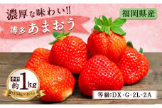 福岡県産 博多 あまおう いちご 250g×4 計 1kg フルーツ
