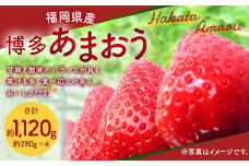 福岡県産 博多 あまおう 約1.12kg（約280g×4パック）【2026年1月下旬～3月下旬発送予定】 ※北海道・沖縄・離島配送不可