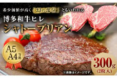 【最上級部位】 博多和牛 ヒレ シャトーブリアン 300g (2枚入り) 黒毛和牛