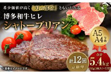 【定期便12回】 博多和牛 ヒレ シャトーブリアン 450g (3枚入り)