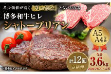 【定期便12回】 博多和牛 ヒレ シャトーブリアン 300g (2枚入り) 黒毛和牛