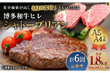 【定期便6回】 博多和牛 ヒレ シャトーブリアン 300g (2枚入り) 黒毛和牛
