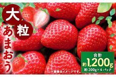 【数量限定】大粒 あまおう 約300g×4パック 計1.2kg いちご