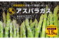 夏芽 アスパラガス 直方産 アスパラ Lサイズ 約1.5kg