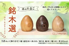木のたまご 【銘木選】  インテリア 飾り台付き