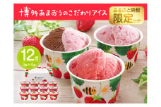 【ふるさと納税限定・2個増量中！】博多あまおうの こだわりアイス 3種 計12個 セット (AH-ABF)