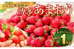 【2023年3月上旬より順次発送】【ふるさと納税限定】博多あまおう 約250g×4パック イチゴ いちご 果物 フルーツ