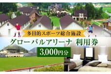 グローバルアリーナ 利用券 1000円分×3枚 スポーツ 宿泊 飲食