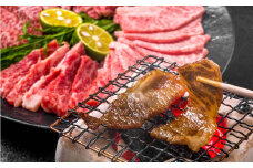 博多和牛 焼肉用 500g 牛肉 バラ ロース モモ