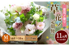 【定期便 11ヶ月】草花ノ定期便 Mサイズ 5～8種類 約8～10本