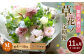 【定期便 11ヶ月】草花ノ定期便 Mサイズ 5～8種類 約8～10本