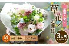 【定期便 3ヶ月】草花ノ定期便 Mサイズ 5～8種類 約8～10本