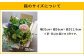 【定期便 3ヶ月】草花ノ定期便 Mサイズ 5～8種類 約8～10本