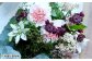 【定期便 3ヶ月】草花ノ定期便 Mサイズ 5～8種類 約8～10本