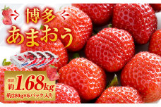 福岡県産 博多あまおう 約1.68kg （約280g×6パック入り） 【2026年1月下旬～3月下旬発送予定】 ※北海道・沖縄・離島配送不可