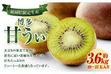 福岡県産 博多甘うぃ 約3.6kg (20玉～27玉入り) 【2025年10月下旬～11月下旬発送】※北海道・沖縄・離島配送不可