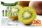 福岡県産 博多甘うぃ 約3.6kg (20玉～27玉入り) キウイ キウイフルーツ