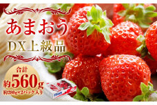福岡県産 博多あまおう DX 上級品 約560g（約280g×2パック入り）【2025年12月上旬～2026年1月上旬発送予定】※北海道・沖縄・離島配送不可