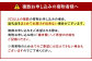 福岡県産 博多あまおう DX 上級品 約560g (約280g×2パック入り) いちご 苺