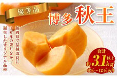 【優等品】福岡県産 博多 秋王 約3.1kg以上 (8玉～12玉入り)【2025年10月上旬～11月下旬発送】 ※北海道・沖縄・離島配送不可