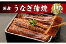 鹿児島産 うなぎ の 蒲焼き 1本 約150～180g 老舗130年の味 鰻