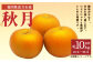 秋月 約10kg 梨 (16～26玉)
