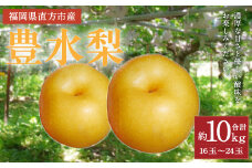【2023年8月下旬より順次発送】豊水 梨 約10kg (16～24玉)