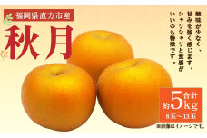 【2023年9月上旬より順次発送】秋月 梨 約5kg (8～13玉)