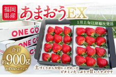 ギフト配送 福岡県産あまおう EX 約450g×2パック 合計約900g 〈特別栽培〉【2026年1月上旬～3月下旬発送予定】