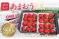 ギフト配送 福岡県産あまおう EX 約450g×2パック 合計約900g 〈特別栽培〉