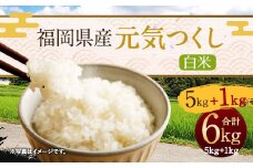 【令和5年産】福岡県産「元気つくし」5kg+1kg増量 計6kg