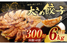 【2024年3月発送】【国産冷凍生餃子】大きめ餃子 300個 計6kg ラー麦 餃子 ギョーザ