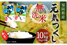 【令和6年産】福岡県産元気つくし 無洗米 10kg お米 ご飯 米