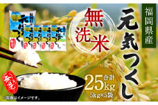 【令和6年産】福岡県産 元気つくし 無洗米 25kg お米 ご飯 米