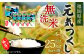 福岡県産 元気つくし 無洗米 25kg お米 ご飯 米