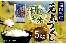 【令和6年産】福岡県産 元気つくし 研ぐお米 5kg お米 ご飯 米