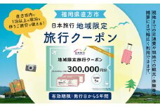 福岡県直方市 日本旅行 地域限定 旅行クーポン 300,000円