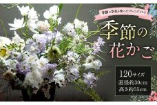 【指定日必須】季節の花かご（120サイズ）